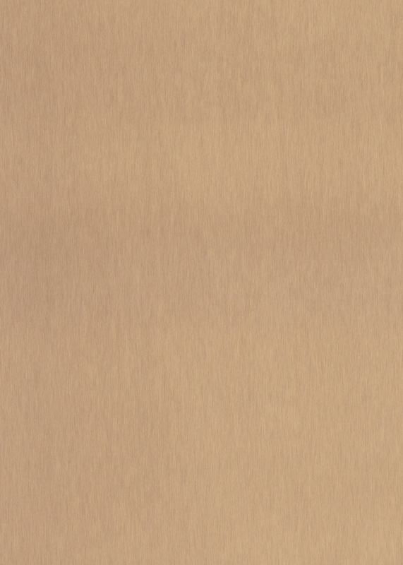 EVO-P265—Brush Bronze